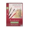 파브리아노 아카데미아 스프링  AP01(A5/200g)