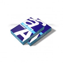 더블에이 복사용지 A4 80g/㎡  500매 x 2속